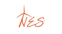 nes-logo